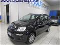 FIAT PANDA 1.2 Lounge Promo Garanzia 24 Mesi