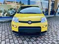 FIAT PANDA 1.0 FireFly S&S Hybrid - KM0