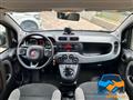 FIAT PANDA 1.0 FireFly S&S Hybrid City Life 70 cv