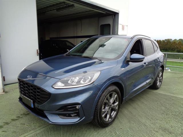 FORD KUGA 1.5 EcoBlue 120 CV aut. 2WD ST-Line