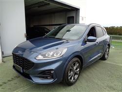 FORD KUGA 1.5 EcoBlue 120 CV aut. 2WD ST-Line