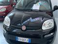 FIAT PANDA 1.2 Lounge con promo "PANERO PLUS"