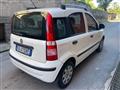 FIAT PANDA 1.2 Actual