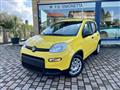 FIAT PANDA 1.0 FireFly S&S Hybrid - KM0