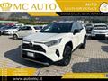 TOYOTA RAV4 2.5 HV (218CV) E-CVT 2WD Dynamic