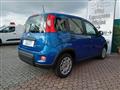 FIAT PANDA 1.0 MY24 HYBRID MANUALE OK NEOPATENTATO