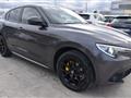 ALFA ROMEO STELVIO 2.2 Turbodiesel 210 CV AT8 Q4 Veloce