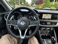 ALFA ROMEO Stelvio 2.2 T.diesel 160CV AT8 RWD Bus.