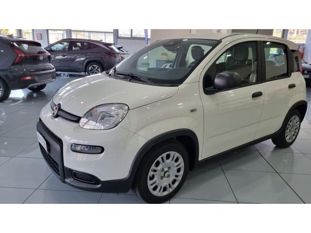 FIAT PANDA 1.0 FireFly S&S Hybrid Pandina