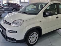 FIAT PANDA 1.0 FireFly S&S Hybrid Pandina