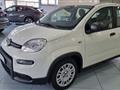 FIAT PANDA 1.0 FireFly S&S Hybrid Pandina