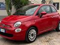 FIAT 500 1.2 Lounge 69cv my20