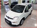 FIAT Panda 1.0 FireFly S&S Hybrid MY24 KM ZERO!!! IVATA NEOPATENTATI