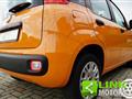 FIAT PANDA 1.2 Easy Power 69CV 2020 - 62.000KM - NEOPATENTATI