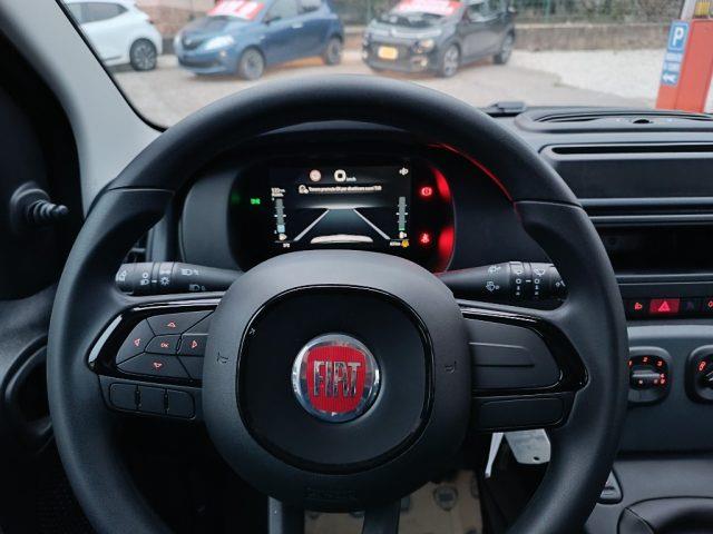 FIAT PANDA 1.0 FireFly S&S Hybrid Pandina