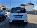 FIAT PANDA 1.0 FireFly S&S Hybrid Pandina