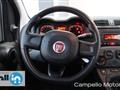 FIAT PANDA 1.2 69cv S&S Pop E6D-temp