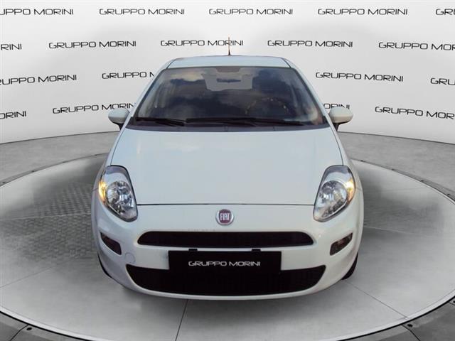 FIAT PUNTO 1.4 8V 5 porte Natural Power Lounge