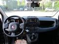 FIAT PANDA 1.0 FireFly S&S Hybrid - Bluetooth/5Posti