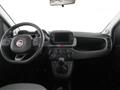 FIAT PANDA CROSS Panda Cross 1.0 FireFly S&S Hybrid