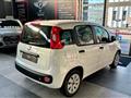 FIAT PANDA 1.3 MJT S&S Easy