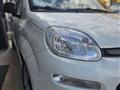 FIAT Panda Van 1.3 mjt Pop S&S 80cv 2p.ti serie 1 E6 Panda 1.3 MJT 95 CV S&S City Cross