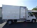 OPEL MOVANO CELLA ISOTERMICA -20° CON PARATIA MOBILE FRCX