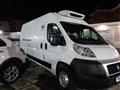 FIAT DUCATO 33 2.0 MJT PLM-TM Furgone