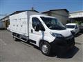 OPEL MOVANO 140CV CELLA A PIASTRE 6 SPORTELLI+PORTE POSTERIORI