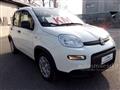 FIAT PANDA 1.0 FireFly S&S Hybrid Pandina