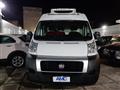 FIAT DUCATO 33 2.0 MJT PLM-TM Furgone