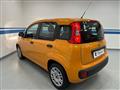 FIAT PANDA 3ª serie -  1.2 Easy