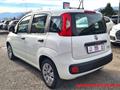 FIAT PANDA 1.0 FireFly S&S Hybrid Easy