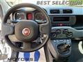 FIAT PANDA 1.0 HYBRID, P.CONSEGNA, REALE KM0, NEOPATENTATI.