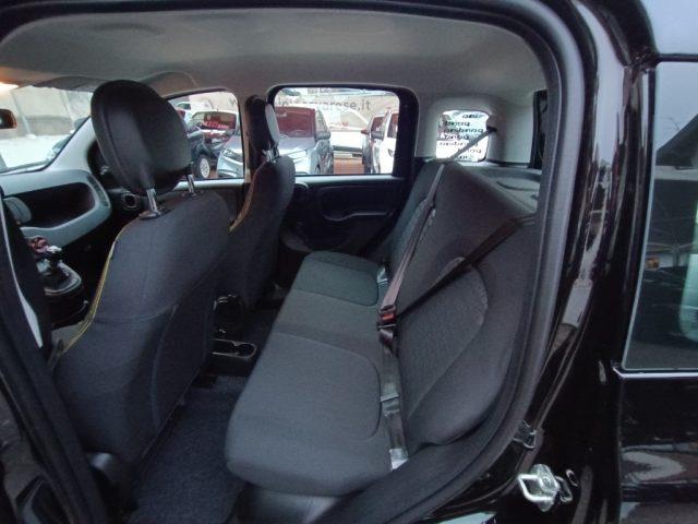 FIAT PANDA 1.0 FireFly S&S Hybrid Pandina