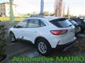 FORD KUGA 1.5 EcoBlue 120 CV aut. 2WD Titanium Business