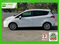 FORD B-MAX 1.0 EcoBoost 100 CV Titanium TETTO PANORAMA