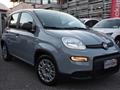 FIAT PANDA 1.0 FireFly S&S Hybrid *5 POSTI*SOLO 7832KM*