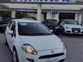 FIAT Punto 1.2 8V 5p. Street