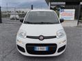 FIAT PANDA 1.2 Easy PREZZO REALE!!