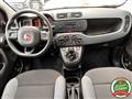 FIAT PANDA 1.2 Easy Climatizzata Neo Patentati