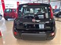 FIAT PANDA 1.0 FireFly S&S Hybrid SENZA FINANZIAMENTO