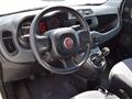 FIAT PANDA VAN 1.2 Van 2 posti