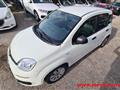 FIAT PANDA 1.0 FireFly S&S Hybrid Easy