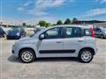 FIAT PANDA 1.2 Lounge 5 POSTI