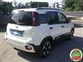 FIAT PANDA 1.0 FireFly S&S Hybrid Pandina