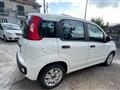 FIAT PANDA 1.3 MJT 95 CV S&S Easy