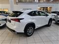 LEXUS NX Hybrid 4WD Premium