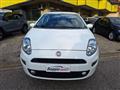 FIAT PUNTO 1.3 MJT 95CV S&S 5 porte Van 4 posti N1  N°FN303