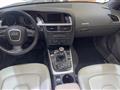 AUDI A5 CABRIO Cabrio 2.0 TDI F.AP. Ambition S-LINE